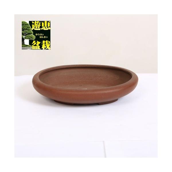 鉢：常滑作家 柴勝 楕円鉢 17.6cm 【現品】*資材 : 遊恵盆栽 Yahoo