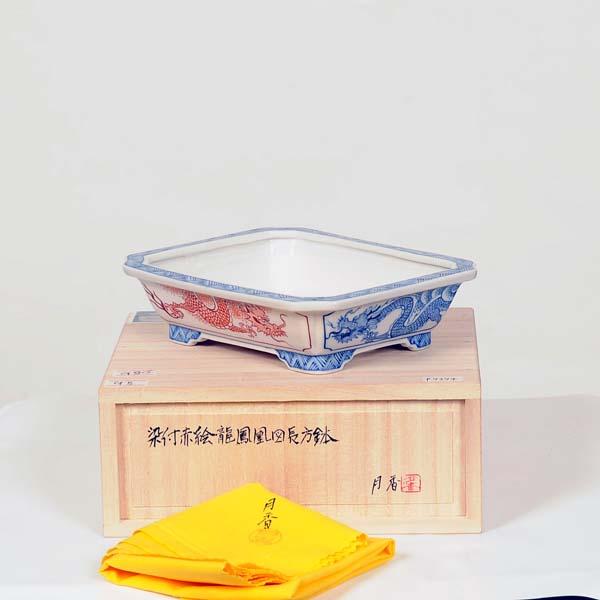 盆栽鉢　月香　　長方鉢 現代小鉢：月香 長方鉢 16.0cm【現】 : 遊恵盆栽 Yahoo!店 - 通販