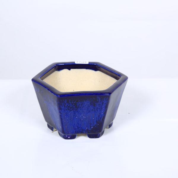 現代小鉢：鴻陽 足付六角鉢 13.2cm【現品】 : 遊恵盆栽 Yahoo!店