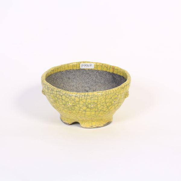 現代小鉢：越前文山 丸鉢 *12.5cm【現品】bunzan : 遊恵盆栽 Yahoo!店
