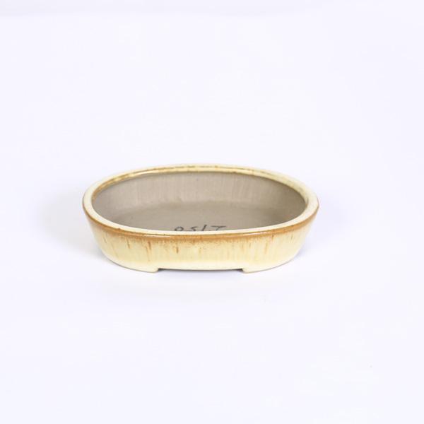 現代小鉢：青香 楕円浅鉢 10.2cm*seika : 遊恵盆栽 Yahoo!店 - 通販