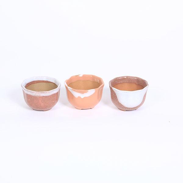 鉢：瀬戸焼花形丸鉢3点セット【現品】 2.5号*資材 : 遊恵盆栽 Yahoo!店