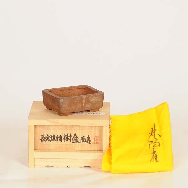 現代小鉢：陶雀 長方鉢【現品】*toujyaku 5.4cm : 遊恵盆栽 Yahoo!店