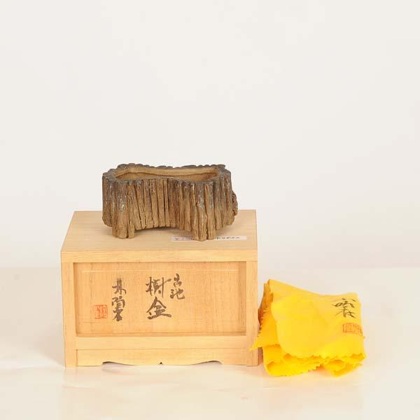 現代小鉢：陶雀 変形鉢古池【現品】*toujyaku 7.6cm : 遊恵盆栽 Yahoo
