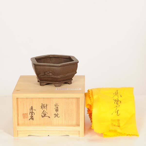 現代小鉢：陶雀 六角鉢『六角蛇』【現品】*toujyaku 9.0cm : 遊恵盆栽