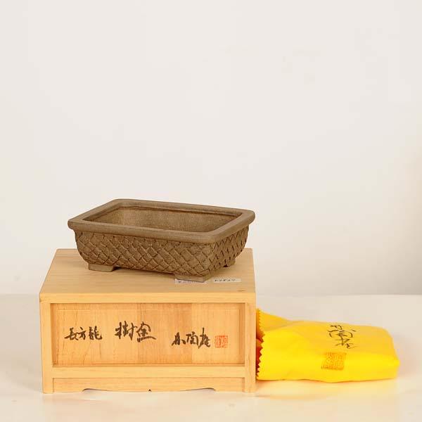 現代小鉢：陶雀 長方鉢『長方籠』【現品】*toujyaku 11.5cm : 遊恵盆栽