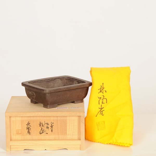 現代小鉢：陶雀 長方鉢『長方羊』【現品】*toujyaku 11.0cm : 遊恵盆栽