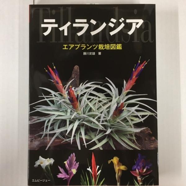本：ティランジア エアプランツ栽培図鑑*資材 : 遊恵盆栽 Yahoo!店