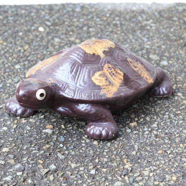 置物 信楽焼き亀 カメ 10号 現品限り W0026 2 遊恵盆栽 Yahoo 店 通販 Yahoo ショッピング
