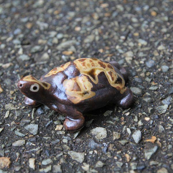 置物 信楽焼き亀 カメ 3号 現品限り W0026 4 遊恵盆栽 Yahoo 店 通販 Yahoo ショッピング