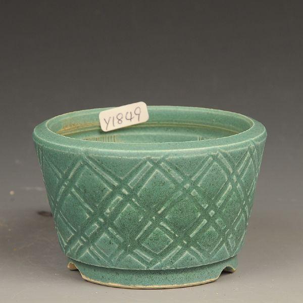 盆栽小鉢：左楽 （丸鉢 9cm）一品物*資材 : 遊恵盆栽 Yahoo!店