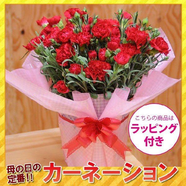遅れてごめんね 母の日 22 カーネーション 赤 ラッピング付プレゼント送料無料鉢植え花鉢 Y3012 遊恵盆栽 Yahoo 店 通販 Yahoo ショッピング