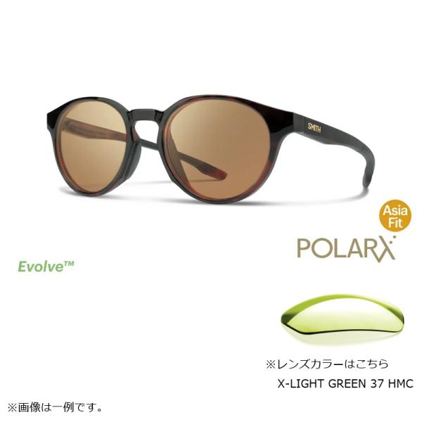 SMITH サーク POLARX Cirque Tortoise X-Light Green 37 Hard &amp; Multi-Coat