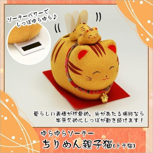 さち猫　11連 91t6uCcik-L._UF350,350_QL50_.jpg