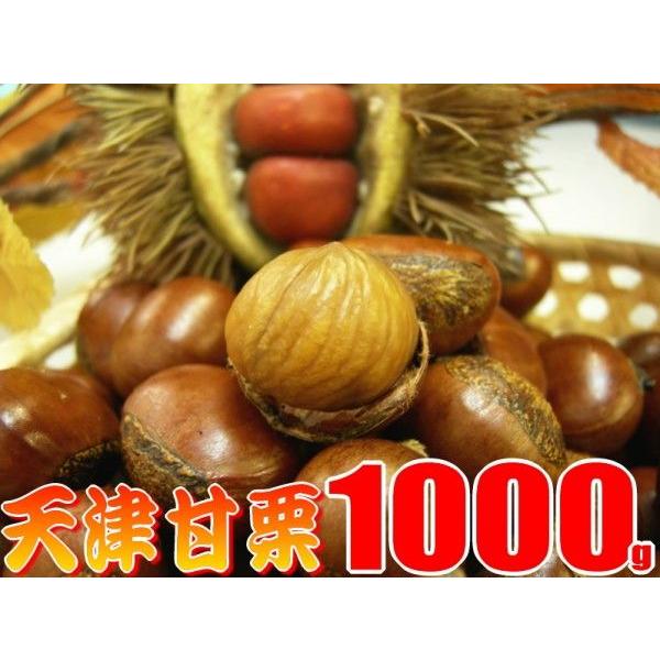 19年新栗が入荷しました 送料無料 炒りたて甘栗 山盛り 1kg Amaguri 横浜中華街通り 通販 Yahoo ショッピング