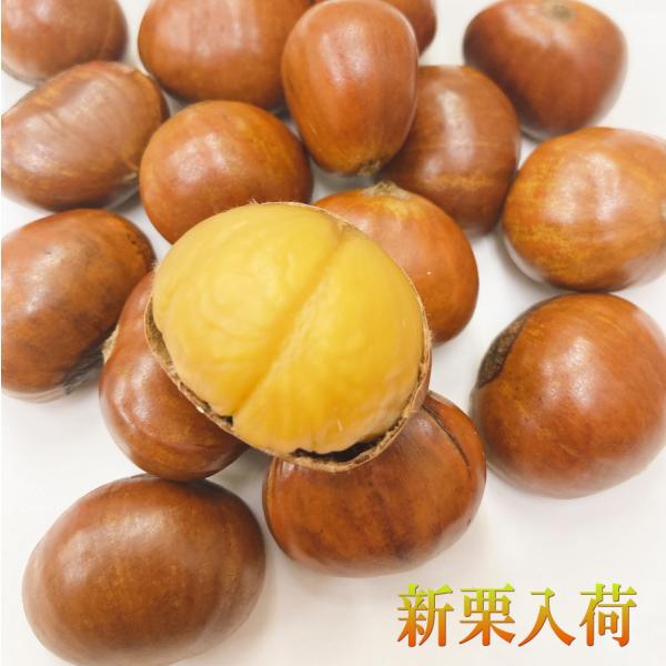 横浜中華街から焼きたて特選大粒の天津甘栗をお届けいたします。一番大粒で実入りも抜群、ぎゅっと甘みも凝縮した甘栗の大粒ランク「特選」のお届け。自然の甘栗を収穫して低温で熟成した無添加の甘栗のみ出荷しておりますので栗本来の甘みをお楽しみいただけ...