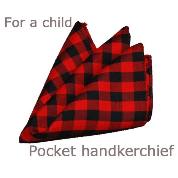 胸元に挿すだけでドレスアップ＆オシャレさんになれるポケットチーフ。キッズ〜ヤングジュニア用のポケットチーフですお子様のファッションにもこだわりたい方におすすめ子供でもオシャレに気を使いたいママにも可愛いといっていただけるアカのチェックをご用...