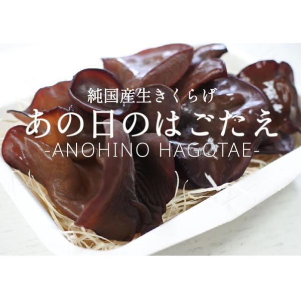 ▽純国産生きくらげ安心安全の純国産生きくらげ食べる漢方とも呼ばれるほど栄養豊富なきくらげ。しかし、現在その約９割以上を中国からの乾燥きくらげに頼っている状態です。そのため生きくらげはなかなか流通しないのでとても希少になっております。もちろん...