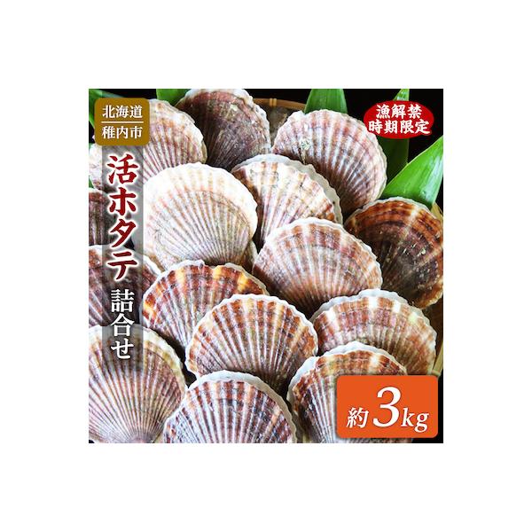 ふるさと納税 稚内市 【2026年発送 先行受付】《冷蔵便でお届け》北海道宗谷産活ホタテ3kg前後 詰合せ 泳ぐ帆立参上!