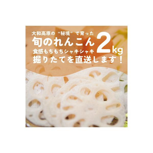 ■お礼品詳細　・配送方法：クール便（冷蔵）■お申し込み・配送・その他　・発送時期：2025-10-20〜2026-05-05（お届け時間帯指定可）　・申込受付期間：〜2026-04-28　・配達外のエリア：離島　・寄付証明書の送付時期目安：...