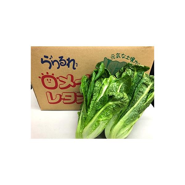 ■お礼品詳細　・配送方法：クール便(冷蔵)■お申し込み・配送・その他　・発送時期：2025-11-22〜2026-04-25（お届け時間帯指定可）　・申込受付期間：〜2026-03-31　・配達外のエリア：離島　・寄付証明書の送付時期目安：...