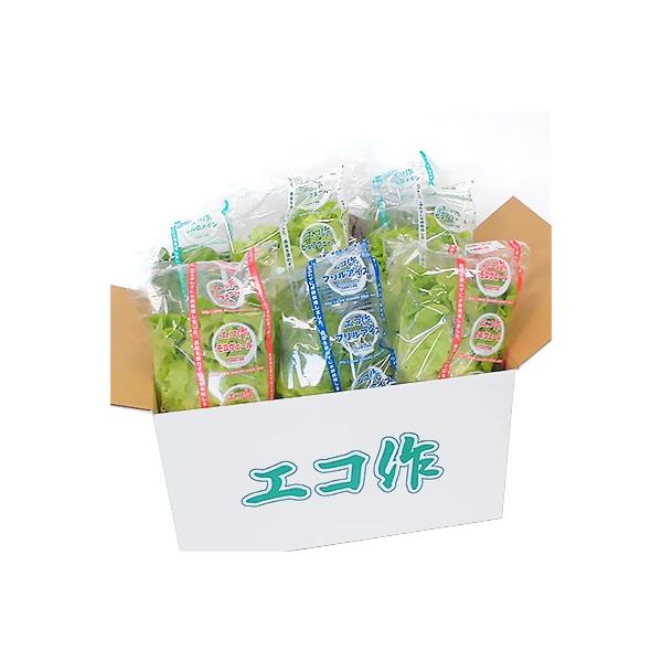 ■お礼品詳細　・配送方法：クール便（冷蔵）■お申し込み・配送・その他　・発送時期：お申し込み後、順次発送（お届け時間帯指定可）　・申込受付期間：通年　・配達外のエリア：離島　・寄付証明書の送付時期目安：申込完了日から２週間程度　・提供元：J...