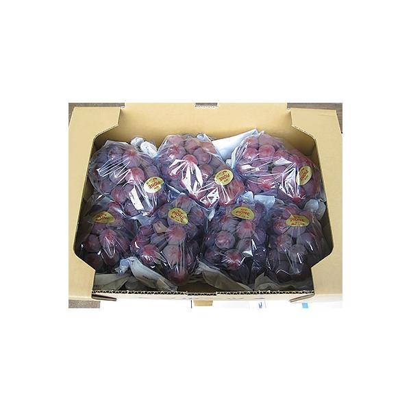 ■お礼品詳細　・配送方法：クール便（冷蔵）■お申し込み・配送・その他　・発送時期：2026-08-17〜2026-10-03　・申込受付期間：〜2026-09-06　・配達外のエリア：離島、北海道、沖縄県　・寄付証明書の送付時期目安：申込完...