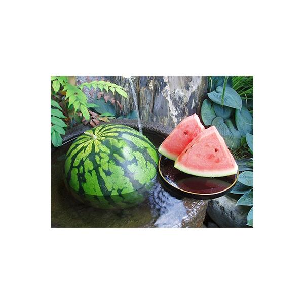 ■お礼品詳細■お申し込み・配送・その他　・発送時期：2026-07-20〜2026-08-10（お届け時間帯指定可）　・申込受付期間：〜2026-08-03　・配達外のエリア：　・寄付証明書の送付時期目安：申込完了日から２週間程度　・提供元...