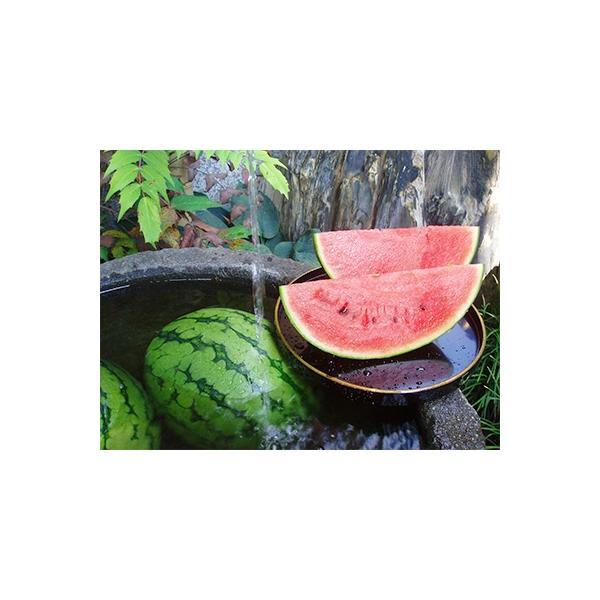 ■お礼品詳細■お申し込み・配送・その他　・発送時期：2026-07-13〜2026-08-20（お届け時間帯指定可）　・申込受付期間：〜2026-08-10　・配達外のエリア：　・寄付証明書の送付時期目安：申込完了日から２週間程度　・提供元...