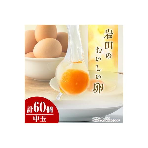 ふるさと納税 榛東村 岩田のおいしい卵　実用中玉55個+破卵保障5個 (10個入り×6パック)