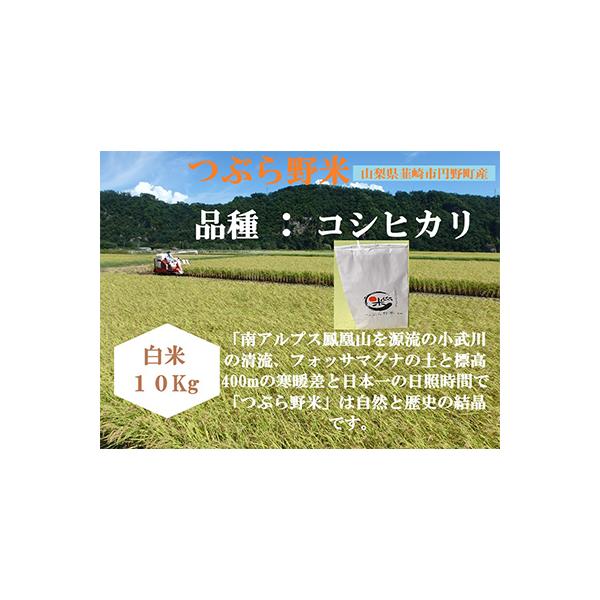米10kg ふくきらり ふるさと納税 訳あり ふくきらり 米 合計 10kg ( 5kg × 2袋