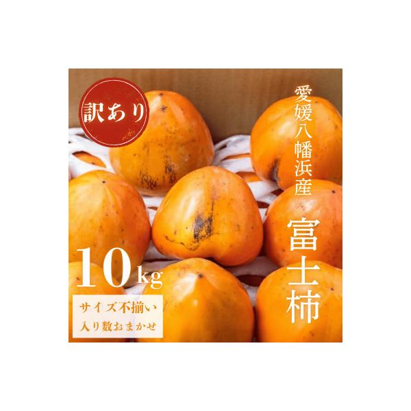 20kg 訳あり　富士柿 当店地元・愛媛県八幡浜市の特産！柿の中でも大玉の富士柿を産地直送で