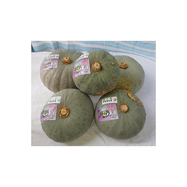 ■お礼品詳細■お申し込み・配送・その他　・発送時期：2025-12-12以降、お申し込み後1〜2週間程度で順次発送予定（お届け時間帯指定可）　・申込受付期間：〜2025-12-31　・配達外のエリア：　・寄付証明書の送付時期目安：申込完了日...