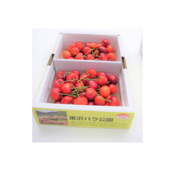 ■お礼品詳細　・配送方法：クール便(冷蔵)■お申し込み・配送・その他　・発送時期：2026-06-01〜2026-06-30　※生育状況により前後する場合があります（お届け時間帯指定可）　・申込受付期間：〜2026-05-18　・配達外のエ...