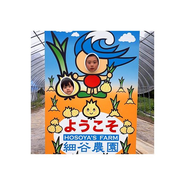 ■お礼品詳細■お申し込み・配送・その他　・発送時期：お申込より1週間程度で順次発送（お届け時間帯指定可）　・申込受付期間：〜2026-04-24　・配達外のエリア：　・寄付証明書の送付時期目安：申込完了日から２週間程度　・提供元：白子町　細谷農園