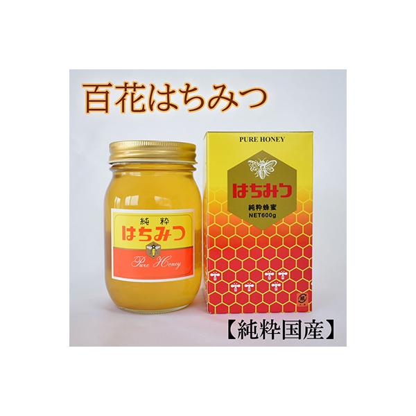ふるさと納税 九度山町 【純粋国産】和歌山県産百花はちみつ約600g
