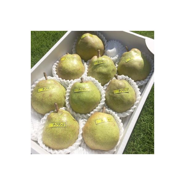 ■お礼品詳細　・原産地：山形県村山市産■お申し込み・配送・その他　・発送時期：2026-10-21〜2026-11-06（お届け時間帯指定可）　・申込受付期間：〜2026-10-12　・配達外のエリア：　・寄付証明書の送付時期目安：申込完了...