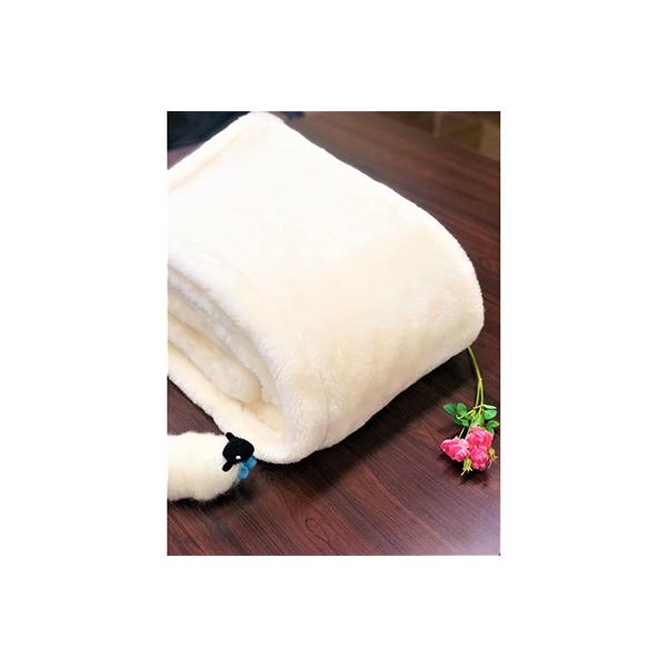 ふるさと納税 泉大津市 泉大津製メリノウールマイヤー毛布(毛羽部分