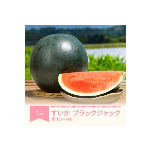 ■お礼品詳細■お申し込み・配送・その他　・発送時期：2026-07-21〜2026-08-17（お届け時間帯指定可）　・申込受付期間：〜2026-07-31　・配達外のエリア：離島、沖縄県　・寄付証明書の送付時期目安：申込完了日から２週間程...