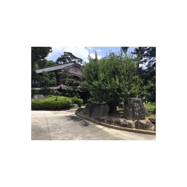 ■お礼品詳細■お申し込み・配送・その他　・発送時期：お申込より順次発送　・申込受付期間：通年　・配達外のエリア：　・寄付証明書の送付時期目安：入金確認後1か月以内　・提供元：民宿　鈴喜館（西尾市観光協会）