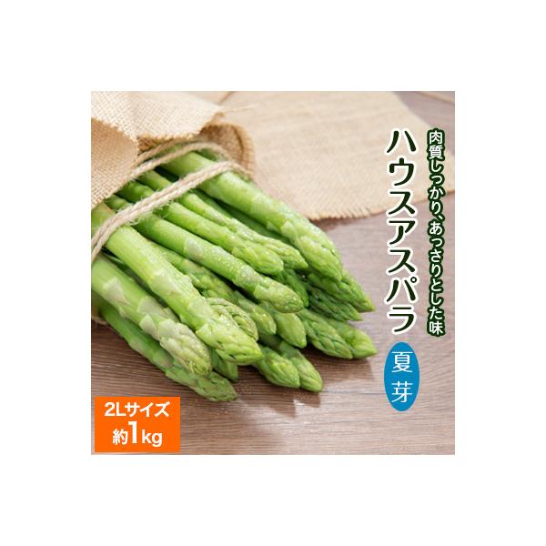 ■お礼品詳細　・配送方法：クール便(冷蔵)■お申し込み・配送・その他　・発送時期：2026-07-10〜2026-08-15（お届け時間帯指定可）　・申込受付期間：〜2026-07-20　・配達外のエリア：離島　・寄付証明書の送付時期目安：...