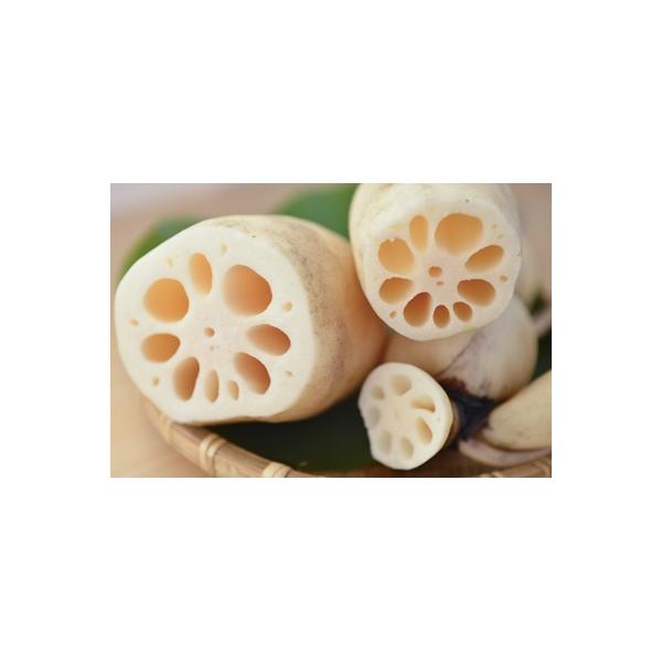 ■お礼品詳細　・配送方法：クール便(冷蔵)■お申し込み・配送・その他　・発送時期：〜2026-03-18（お届け時間帯指定可）　・申込受付期間：〜2026-03-01　・配達外のエリア：離島　・寄付証明書の送付時期目安：申込完了日から２週間...