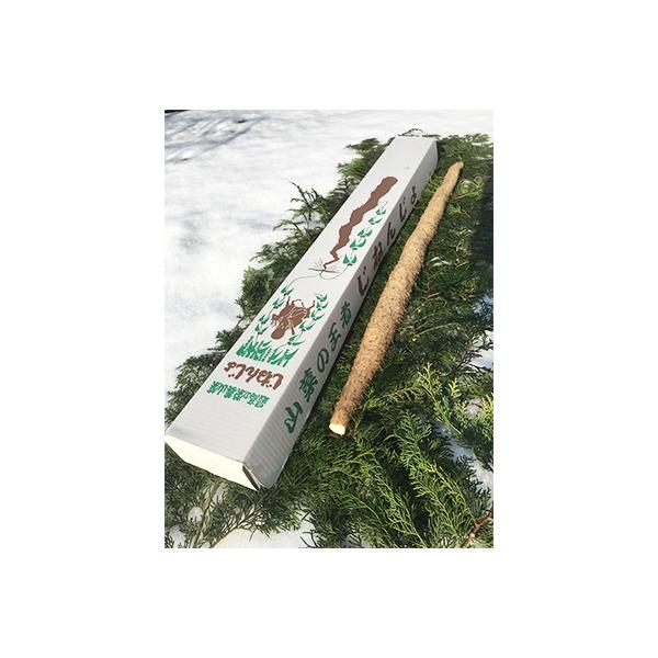 ■お礼品詳細■お申し込み・配送・その他　・発送時期：お申し込み後1〜2週間程度で順次発送予定（お届け時間帯指定可）　・申込受付期間：2025-12-16〜2026-5-27　・配達外のエリア：　・寄付証明書の送付時期目安：申込完了日から２週...