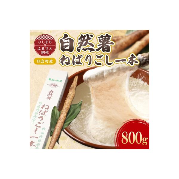 ■お礼品詳細■お申し込み・配送・その他　・発送時期：2025-11-01〜2026-03-31（お届け時間帯指定可）　・申込受付期間：〜2026-02-15　・配達外のエリア：　・寄付証明書の送付時期目安：申込完了日から2週間程度　・提供元...
