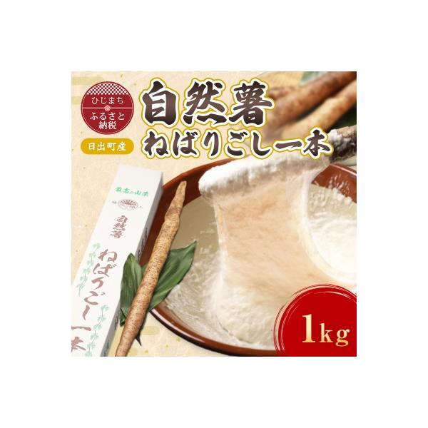 ■お礼品詳細■お申し込み・配送・その他　・発送時期：2025-11-01〜2026-03-31（お届け時間帯指定可）　・申込受付期間：〜2026-02-15　・配達外のエリア：　・寄付証明書の送付時期目安：申込完了日から2週間程度　・提供元...