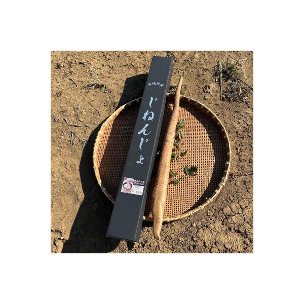 ■お礼品詳細■お申し込み・配送・その他　・発送時期：お申し込み後、順次発送（お届け時間帯指定可）　・申込受付期間：通年　・配達外のエリア：　・寄付証明書の送付時期目安：申込完了日から２週間程度　・提供元：株式会社新関フードサービス