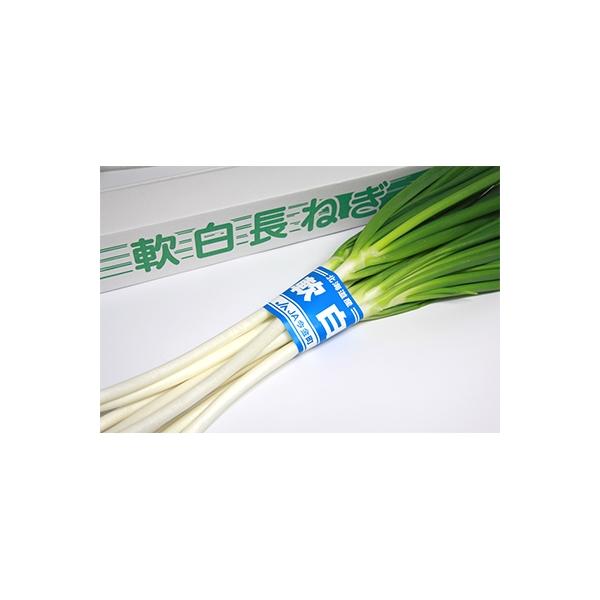 ■お礼品詳細■お申し込み・配送・その他　・発送時期：2024-12-18以降、お申し込み後1〜2週間程度で順次発送予定（お届け時間帯指定可）　・申込受付期間：通年　・配達外のエリア：　・寄付証明書の送付時期目安：申込完了日から２週間程度　・...