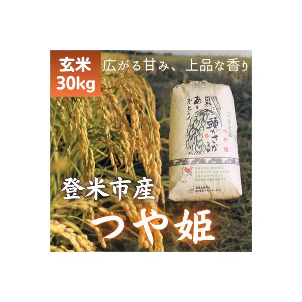 y-furusato_1139101