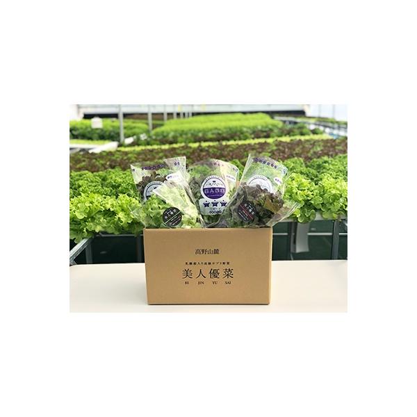 ■お礼品詳細　・配送方法：クール便(冷蔵)■お申し込み・配送・その他　・発送時期：お申し込み後、順次発送（お届け時間帯指定可）　・申込受付期間：通年　・配達外のエリア：離島　・寄付証明書の送付時期目安：申込完了日から２週間程度　・提供元：株...