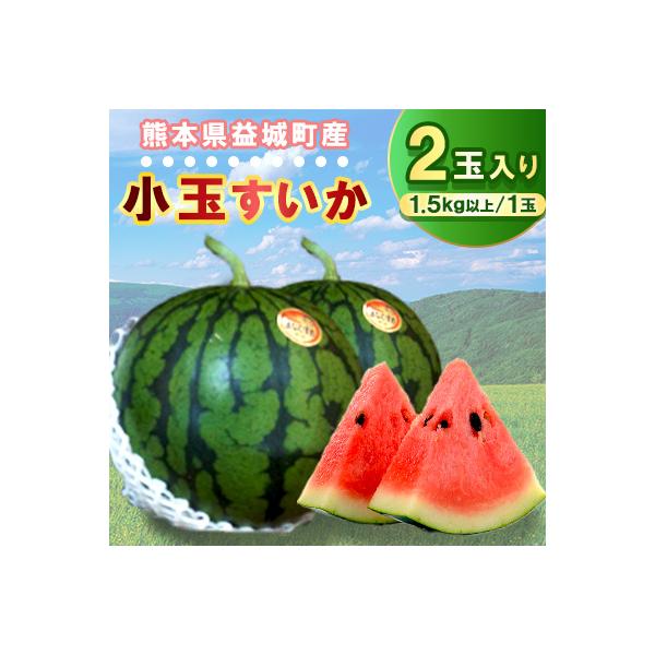 ■お礼品詳細　・配送種別：通常■お申し込み・配送・その他　・発送時期：2026-05-11〜2026-07-06（お届け時間帯指定可）　・申込受付期間：〜2026-06-21　・配達外のエリア：　・寄付証明書の送付時期目安：申込完了日から２...